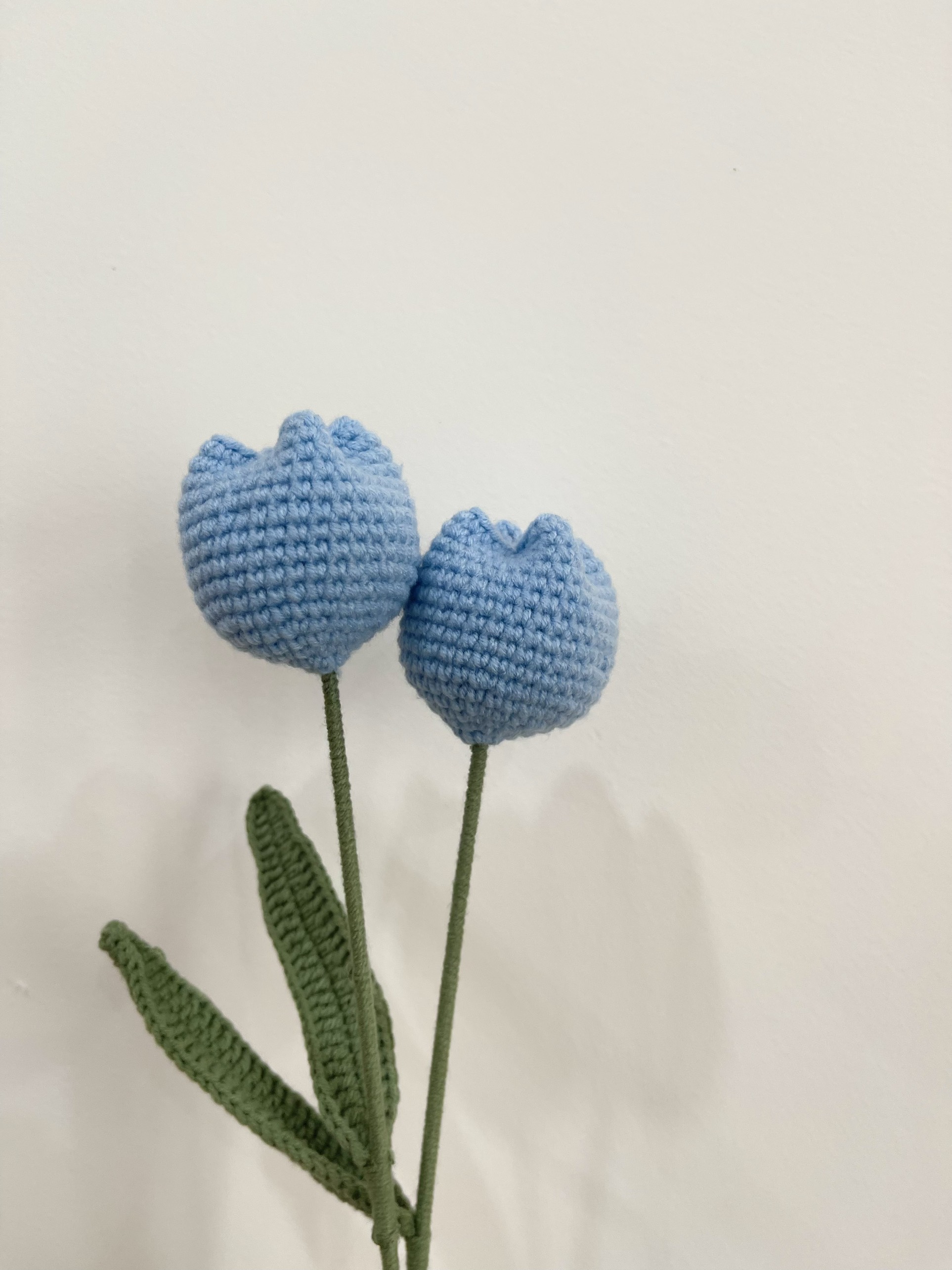 Thành phẩm hoa tulip tròn