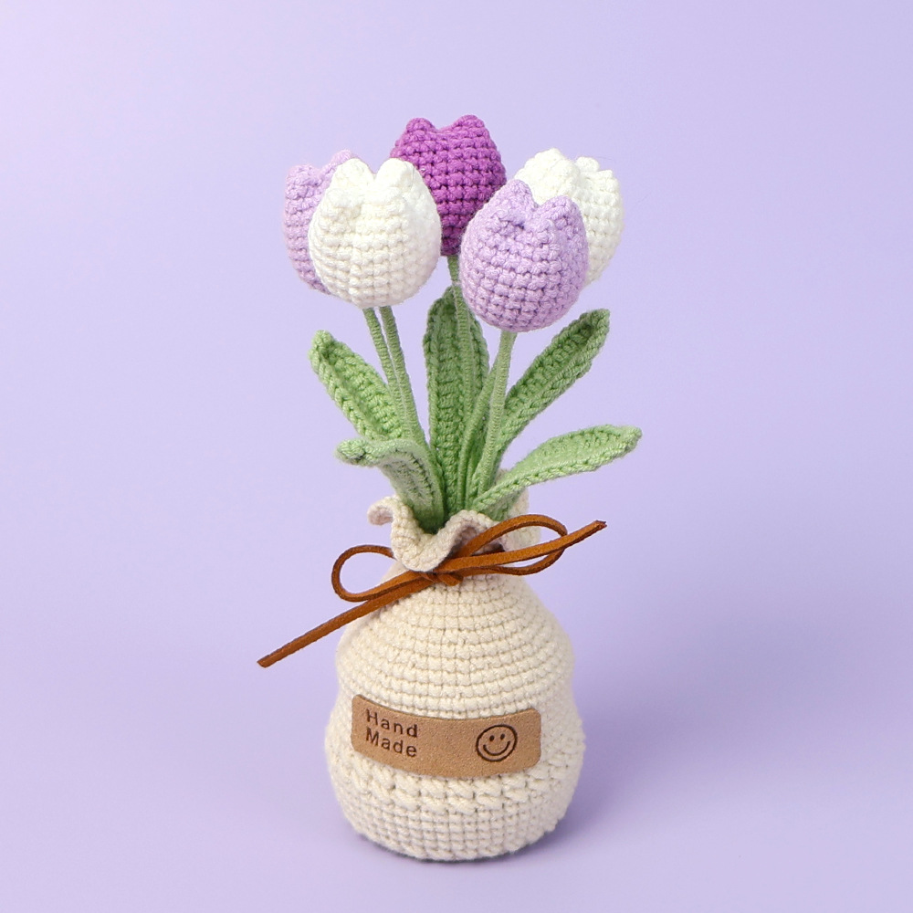 Chậu Hoa Tulip Đế Len