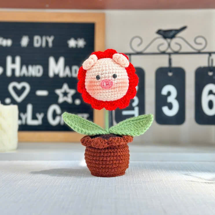 Chậu Hoa Thú Đế Len