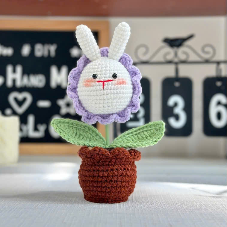 Chậu Hoa Thú Đế Len