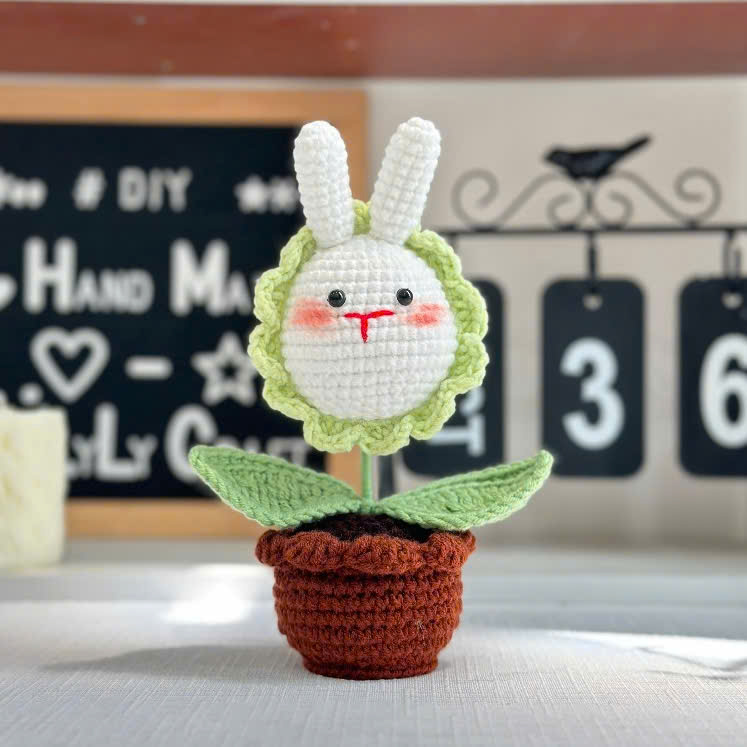 Chậu Hoa Thú Đế Len