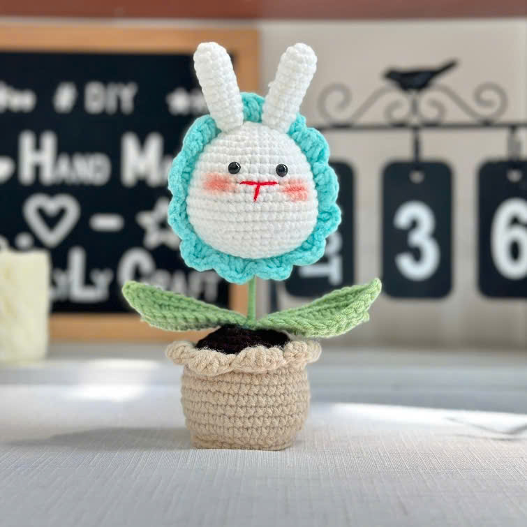 Chậu Hoa Thú Đế Len