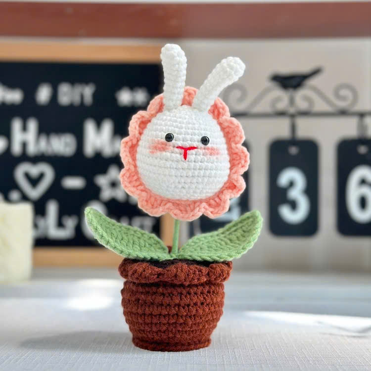 Chậu Hoa Thú Đế Len