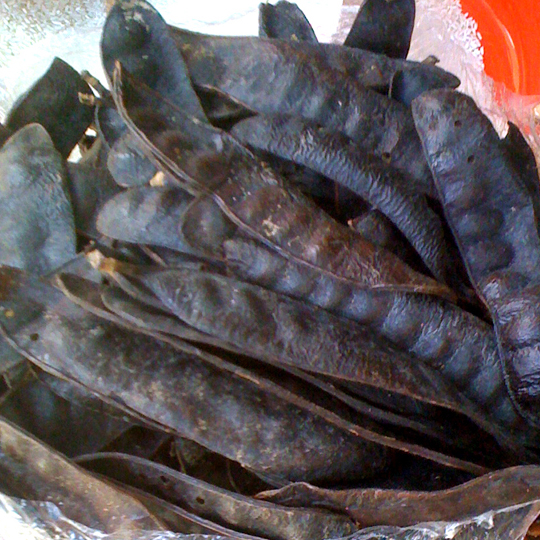 dia-chi-ban-trai-bo-ket