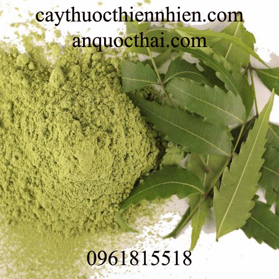 cach-su-dung-bot-la-neem-an-do