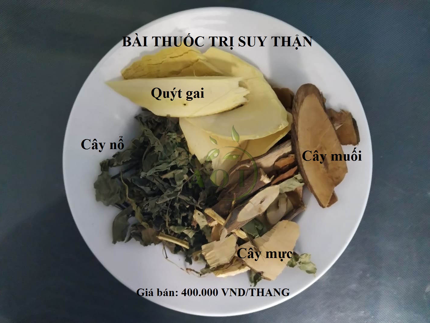 cây ổ trị suy thận