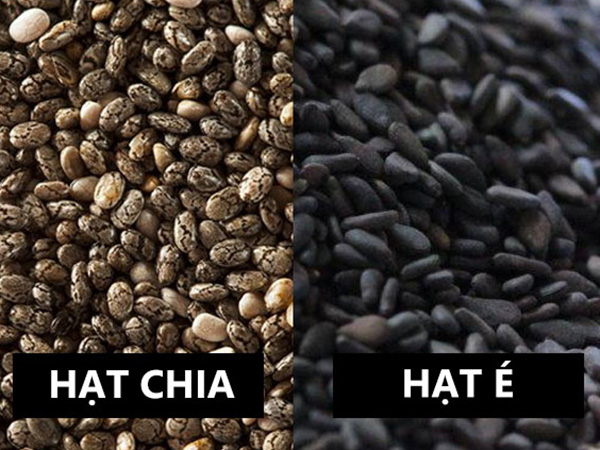 hạt é và hạt chia