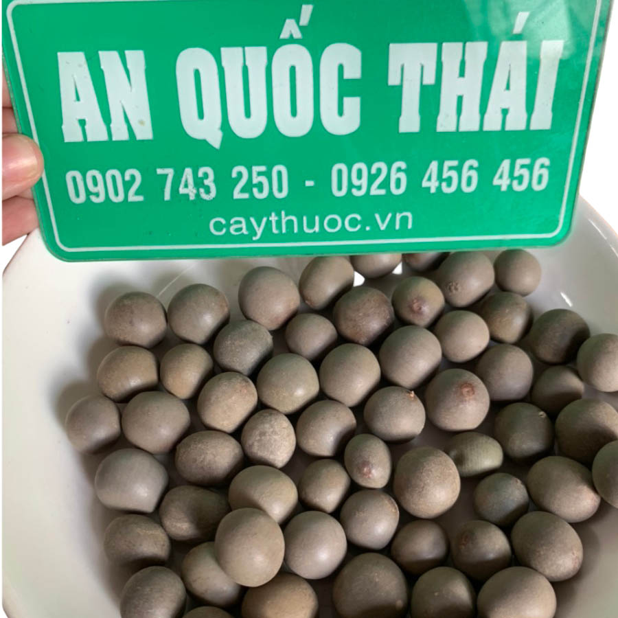 Quả mắt mèo