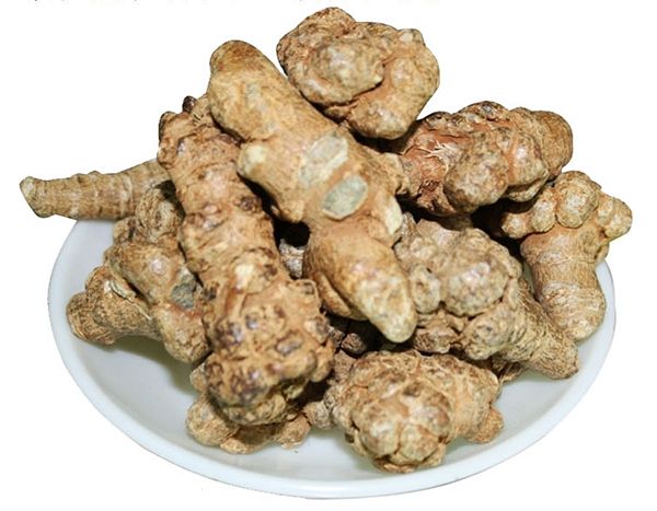 bán tam thất bắc