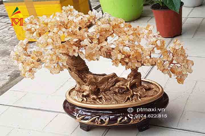 Tác dụng của cây tài lộc đá thạch anh phong thuỷ trong nhà