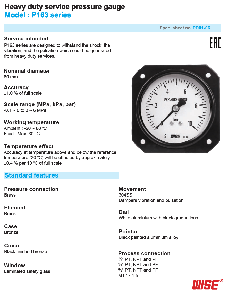 Pressure Gauge WISE. P163