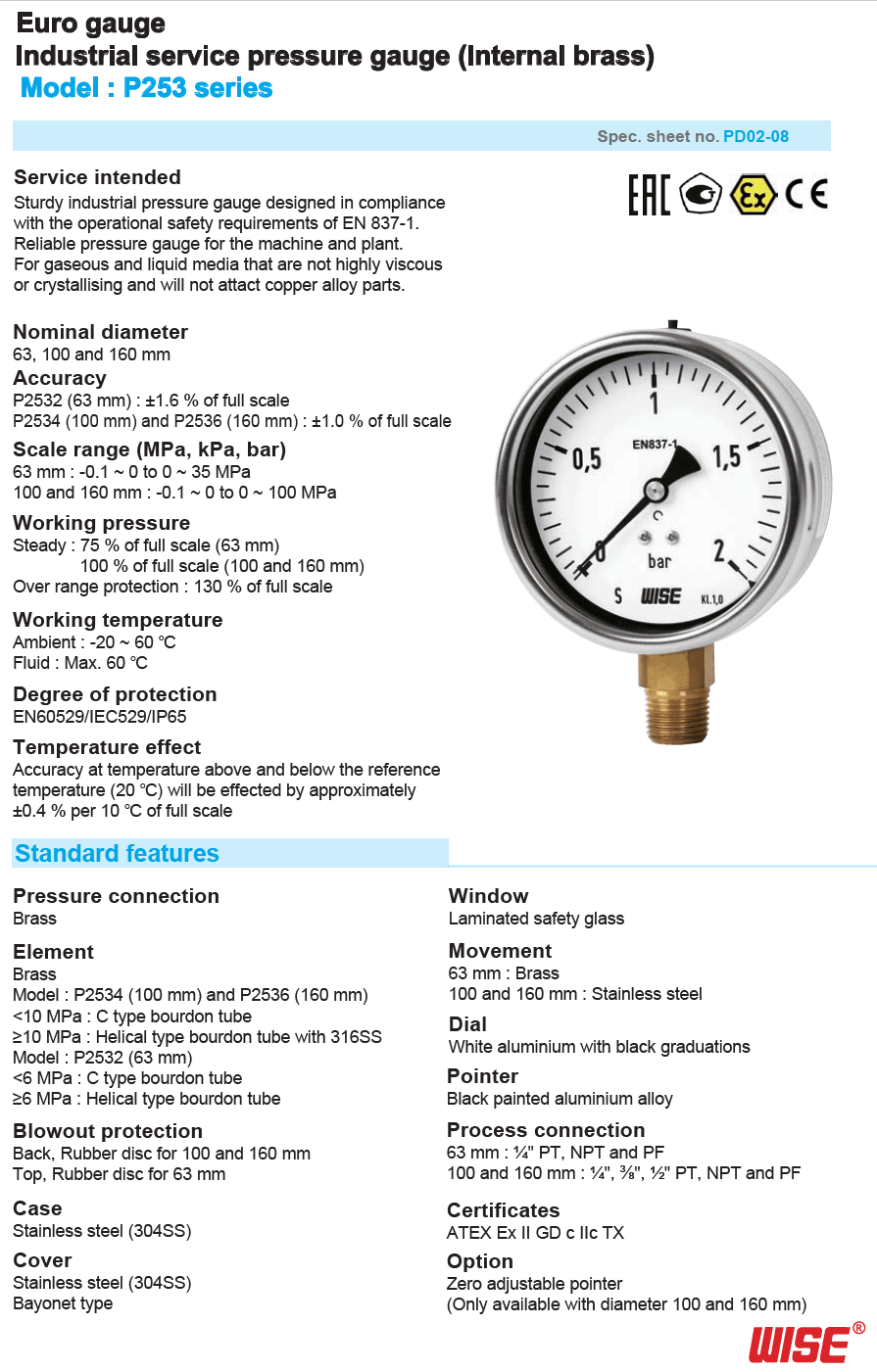Pressure Gauge WISE. P253