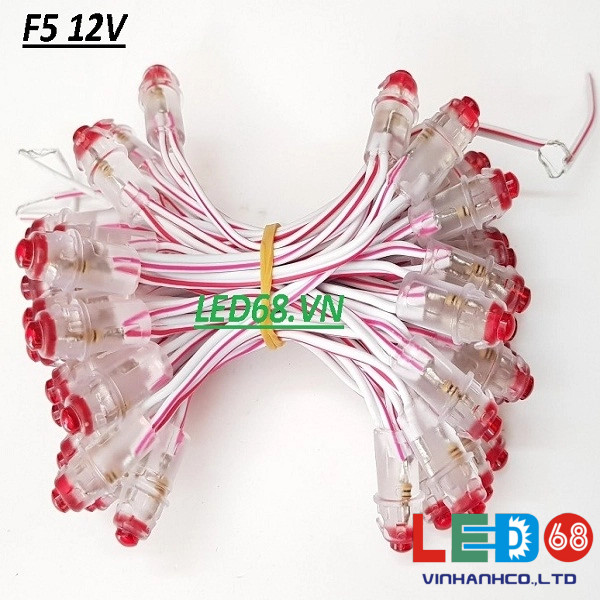 Led đúc F5 12 V có những ưu điểm vượt trội gì?