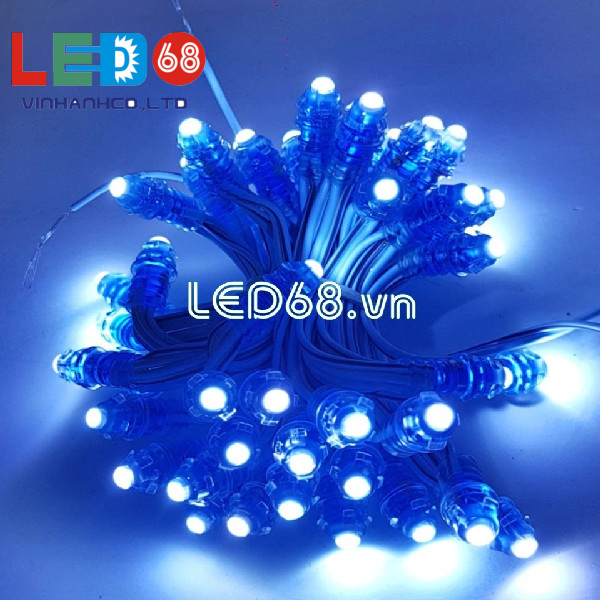 Led đúc F5 12 V có những ưu điểm vượt trội gì?