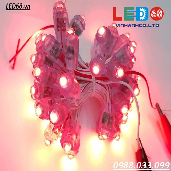 Led đúc F8