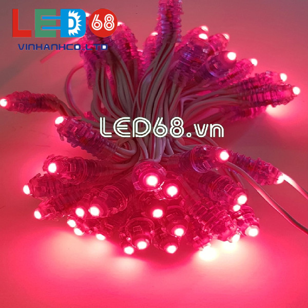 Tổng hợp các loại đèn led trang trí hot nhất hiện nay