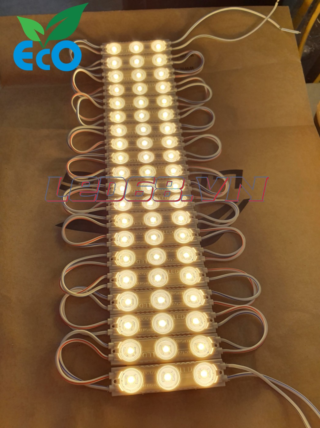 Module 3 LED ECO 6214