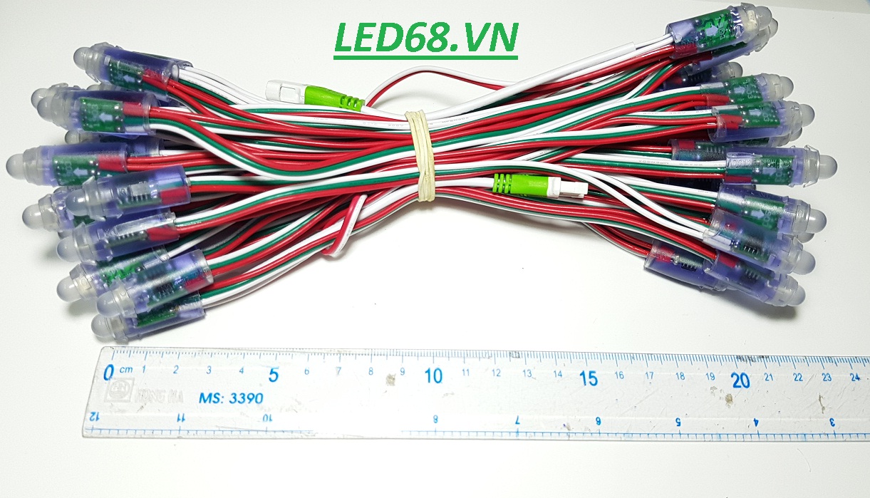 F8 Full 1903 Dây Dài  ADS