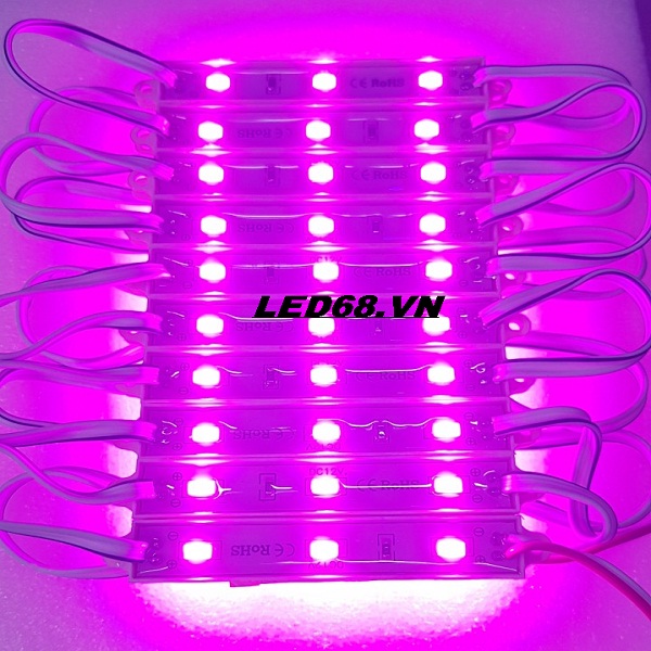 Led Hắt 3 Bóng Màu Tím