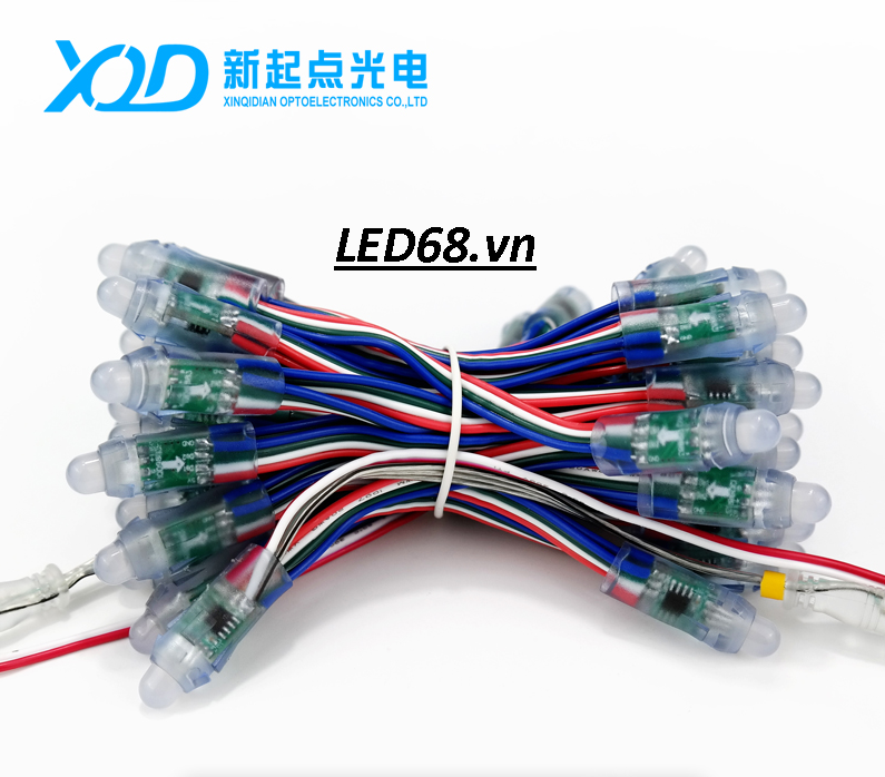 F8 Full 9803 Dây Ngắn XQD