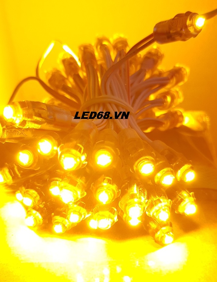 LED F5 HHX  12v