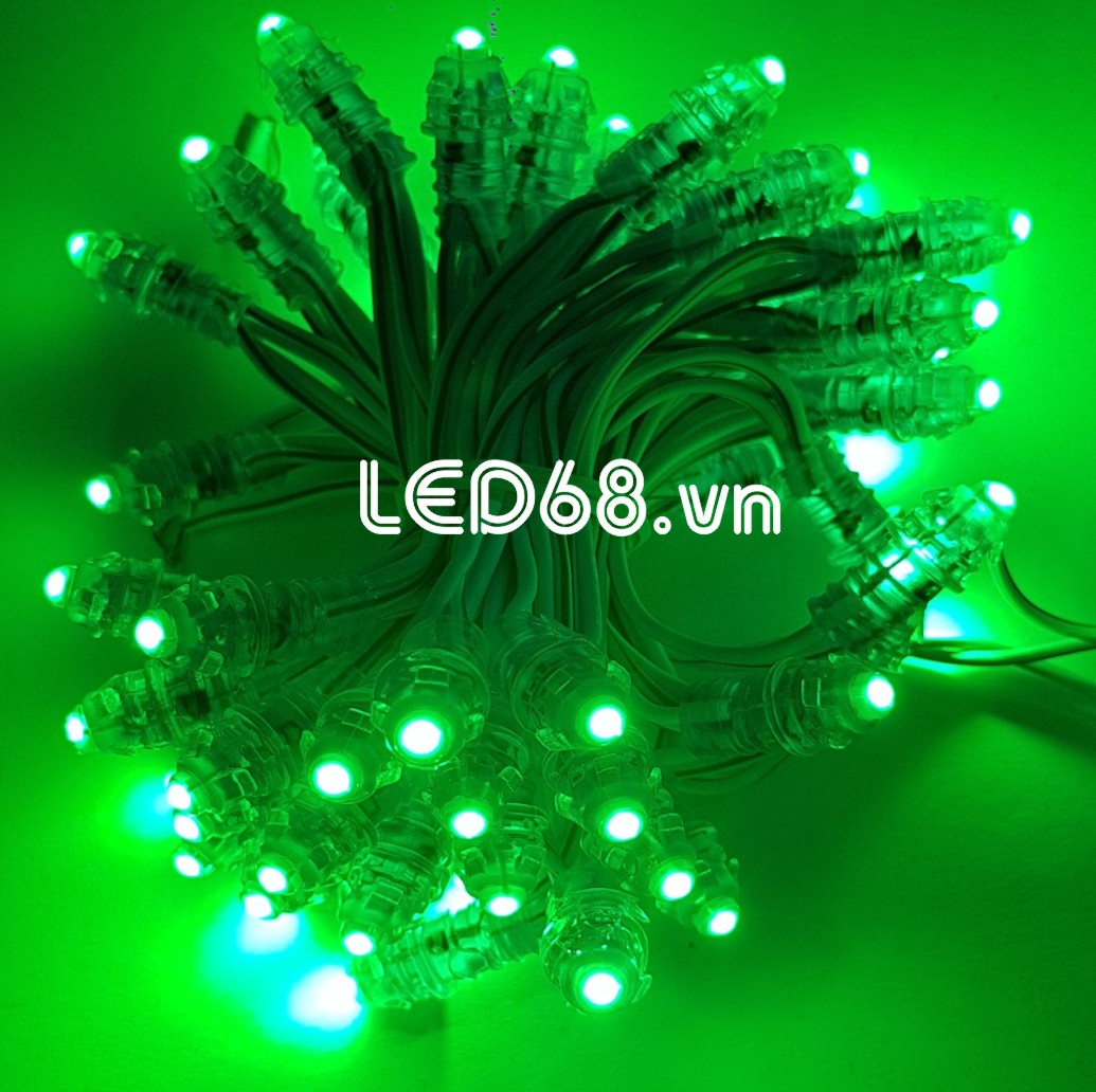 F5 Đế 8 Điện 12V