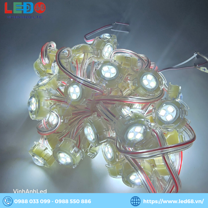LED F20 Đơn Sắc chuyên dụng cho bộ chữ ngoài Trời