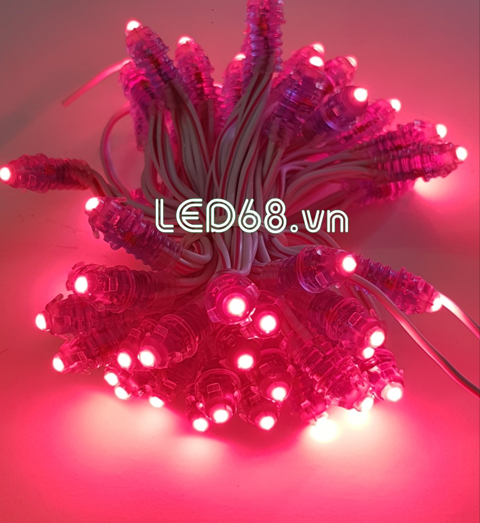 F5 Đế 8 Điện 12V