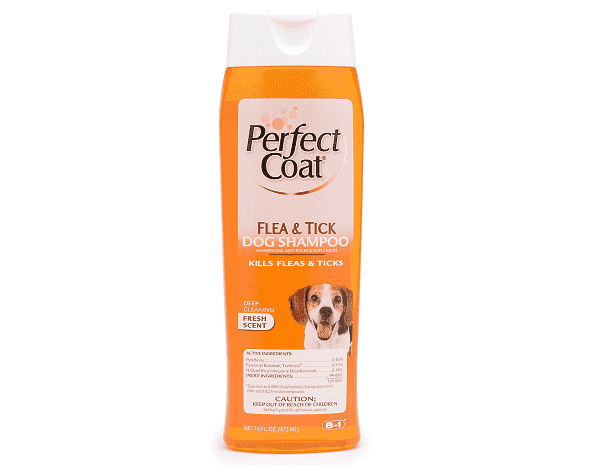 Dầu gội Perfect Coat