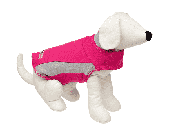 Áo Polo Dog
