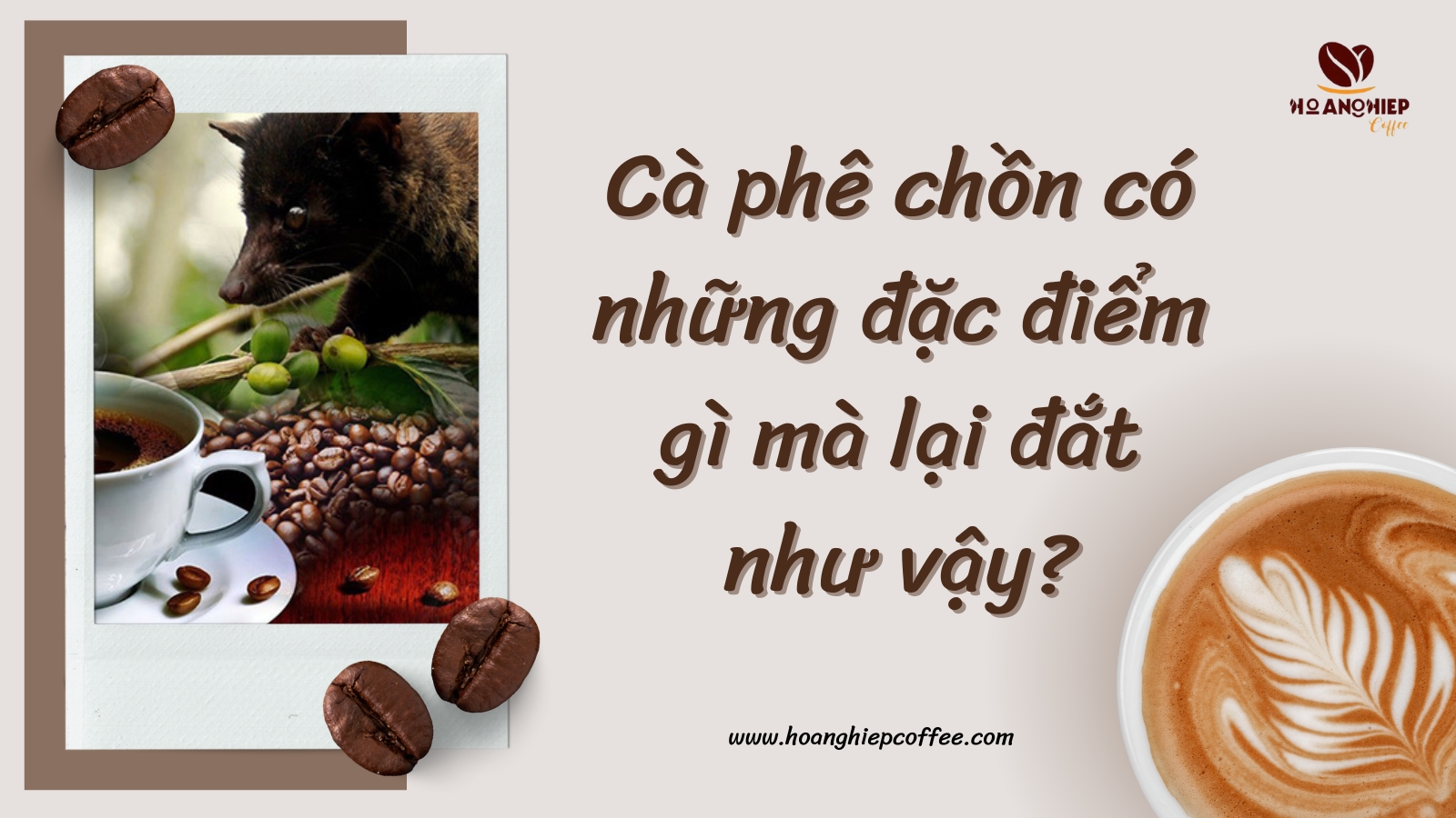 ca-phe-chon-co-nhung-dac-diem-gi-ma-lai-dat-nhu-vay