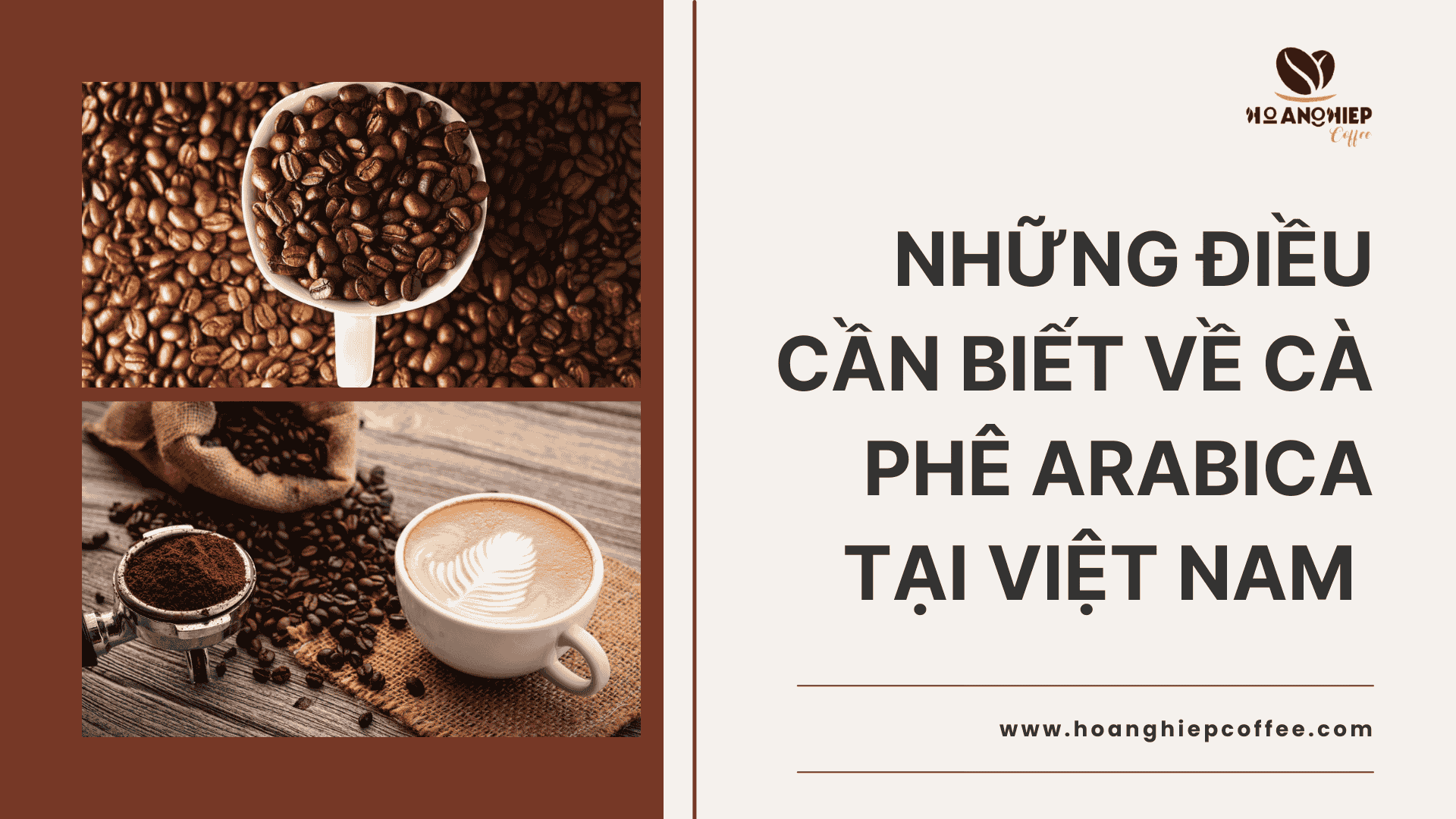 nhung-dieu-can-biet-ve-ca-phe-arabica-tai-viet-nam