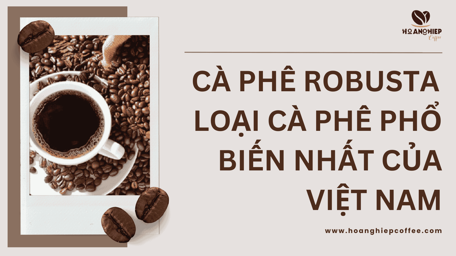 ca-phe-robusta-loai-ca-phe-pho-biet-nhat-tai-viet-nam