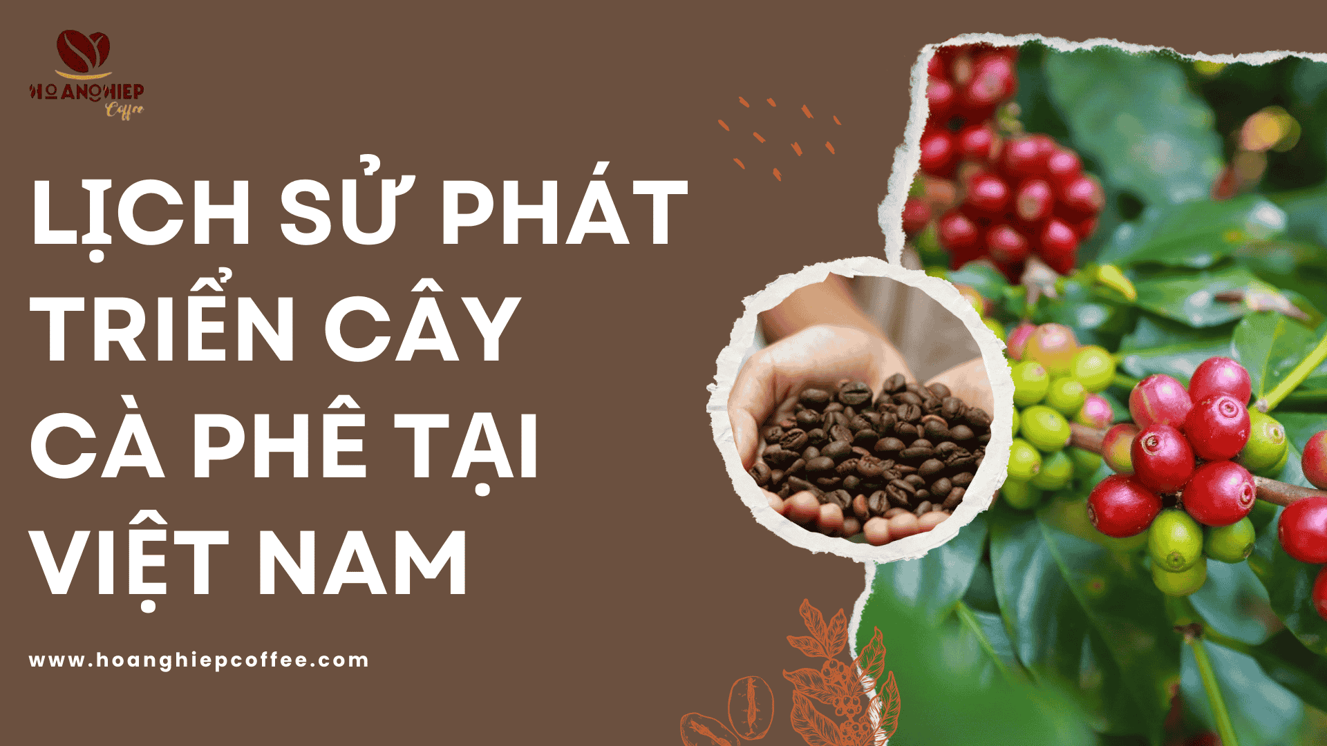 lich-su-phat-trien-cay-ca-phe-tai-viet-nam
