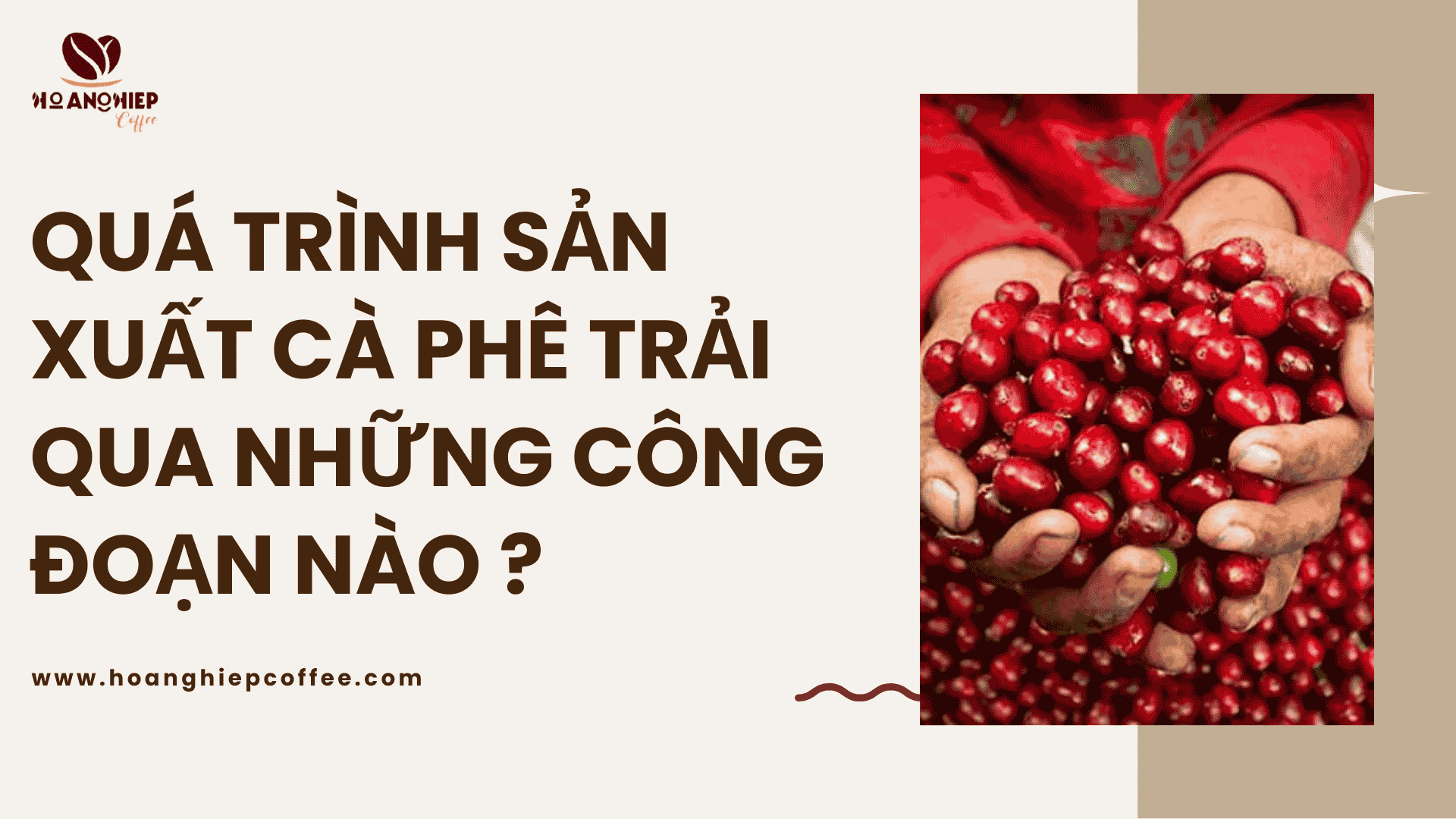qua-trinh-san-xuat-ca-phe-trai-qua-nhung-cong-doan-nao