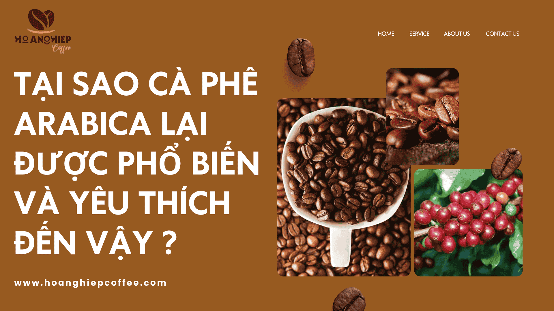 tai-sao-ca-phe-arabica-lai-duoc-pho-bien-va-yeu-thich-den-vay