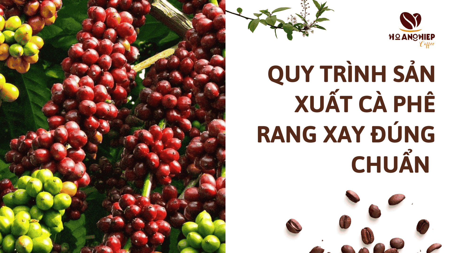 quy-trinh-san-xuat-ca-phe-rang-xay-dung-chuan