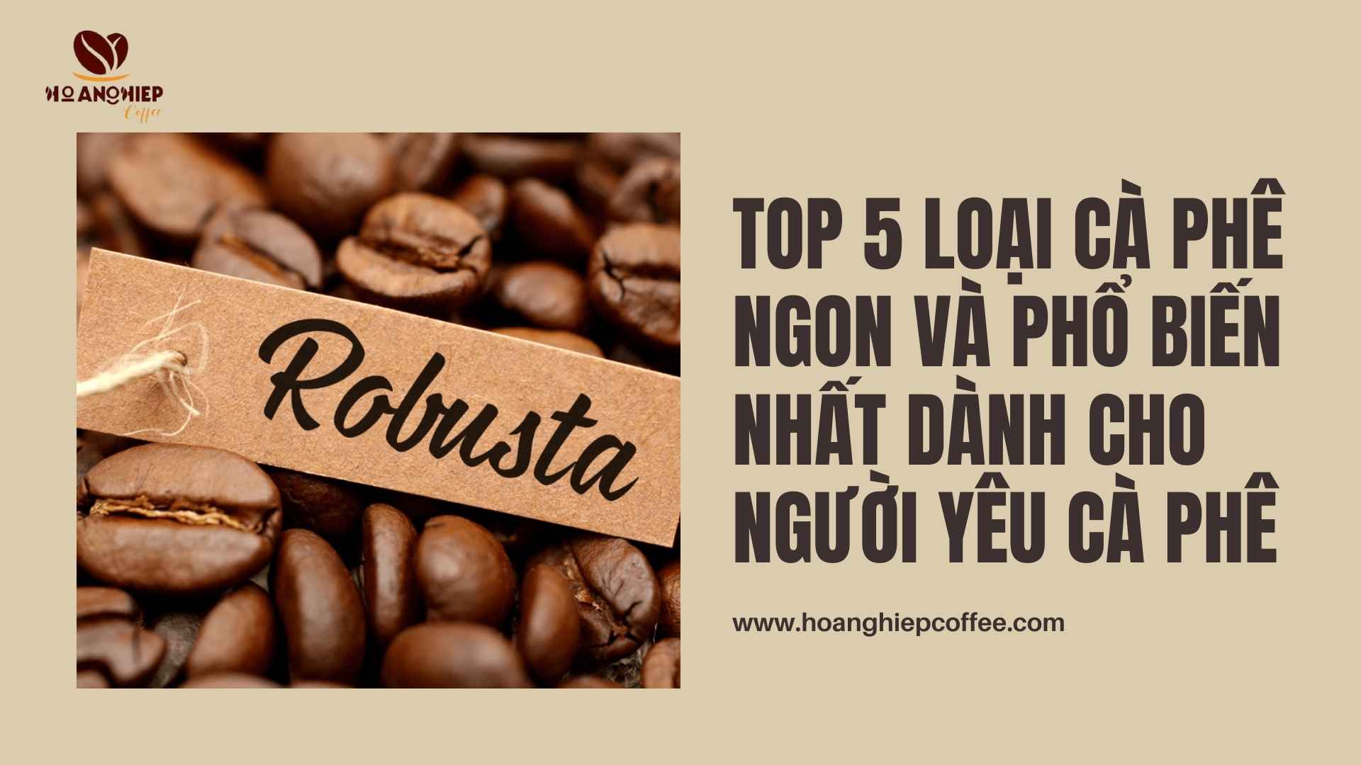 top-5-loai-ca-phe-ngon-va-pho-bien-nhat-danh-cho-nguoi-yeu-ca-phe