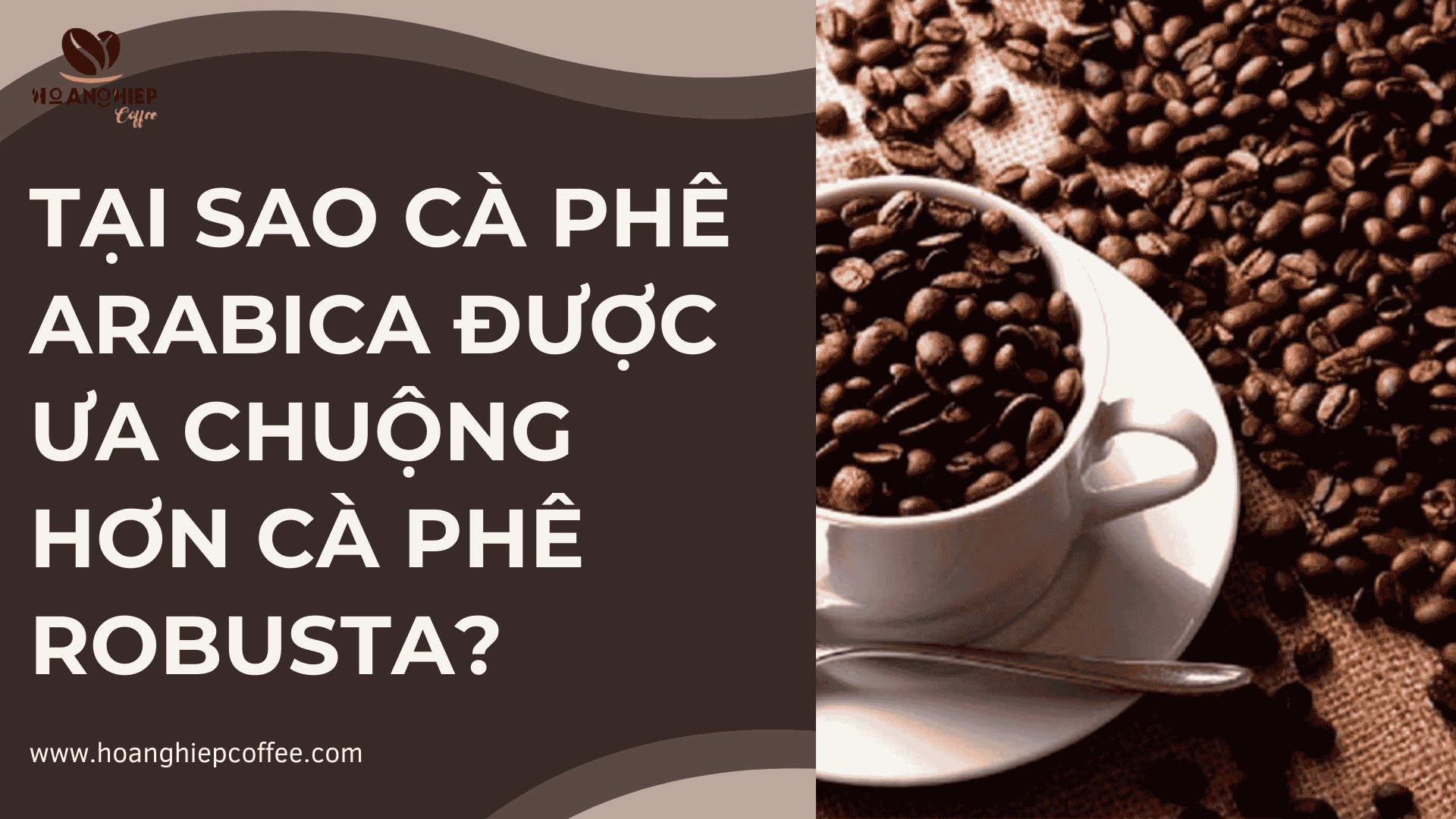 tai-sao-ca-phe-arabica-duoc-ua-chuong-hon-ca-phe-robusta