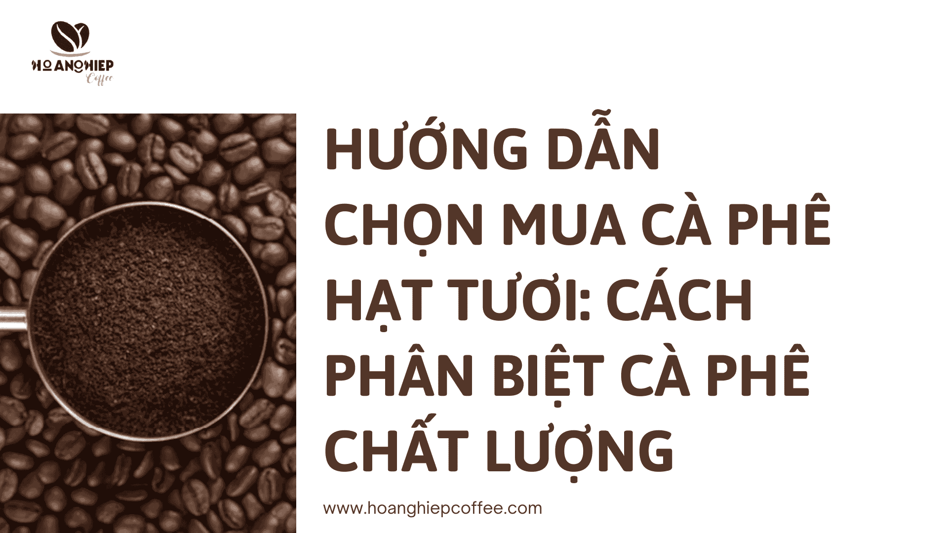 huong-dan-chon-mua-ca-phe-hat-tuoi-cach-phan-biet-ca-phe-chat-luong