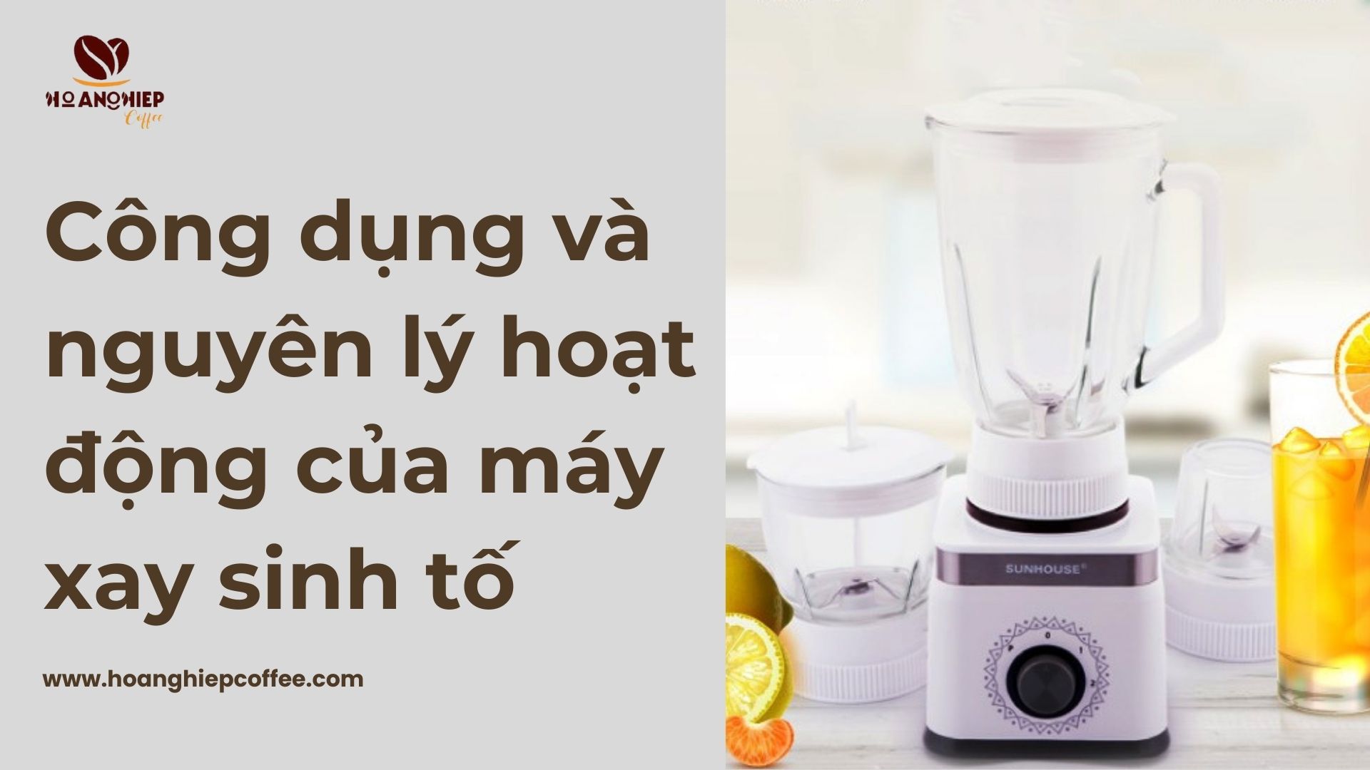 cong-dung-va-nguyen-ly-hoat-dong-cua-may-xay-sinh-to