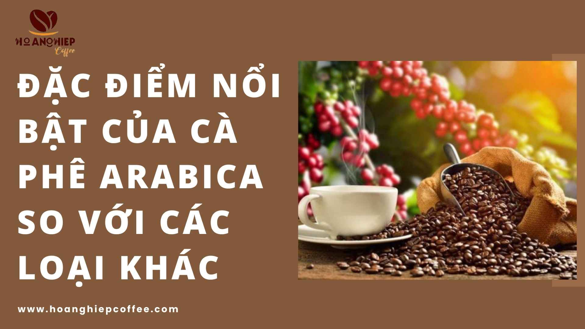 dac-diem-noi-bat-cua-ca-phe-arabica-so-voi-cac-loai-khac