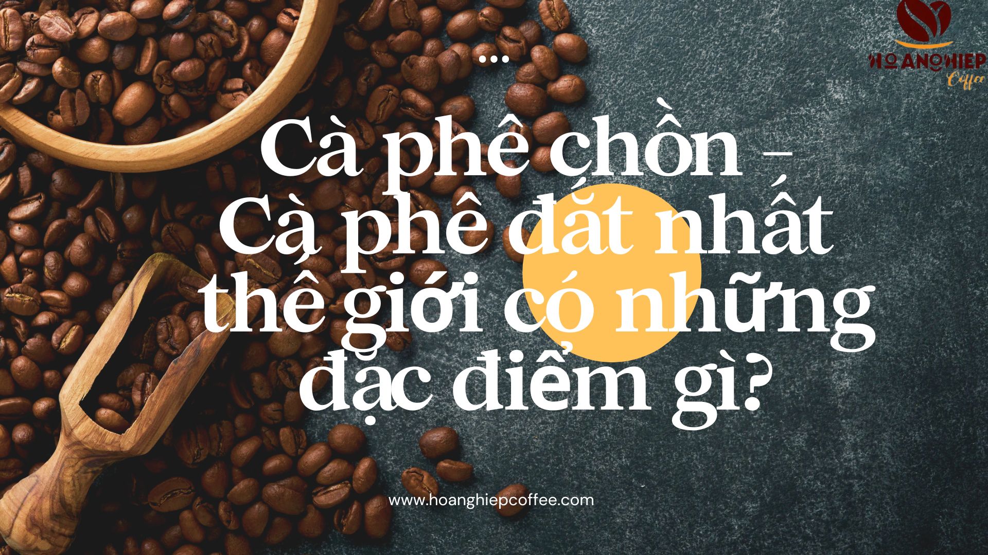 ca-phe-chon-ca-phe-dat-nhat-the-gioi-co-nhung-dac-diem-gi