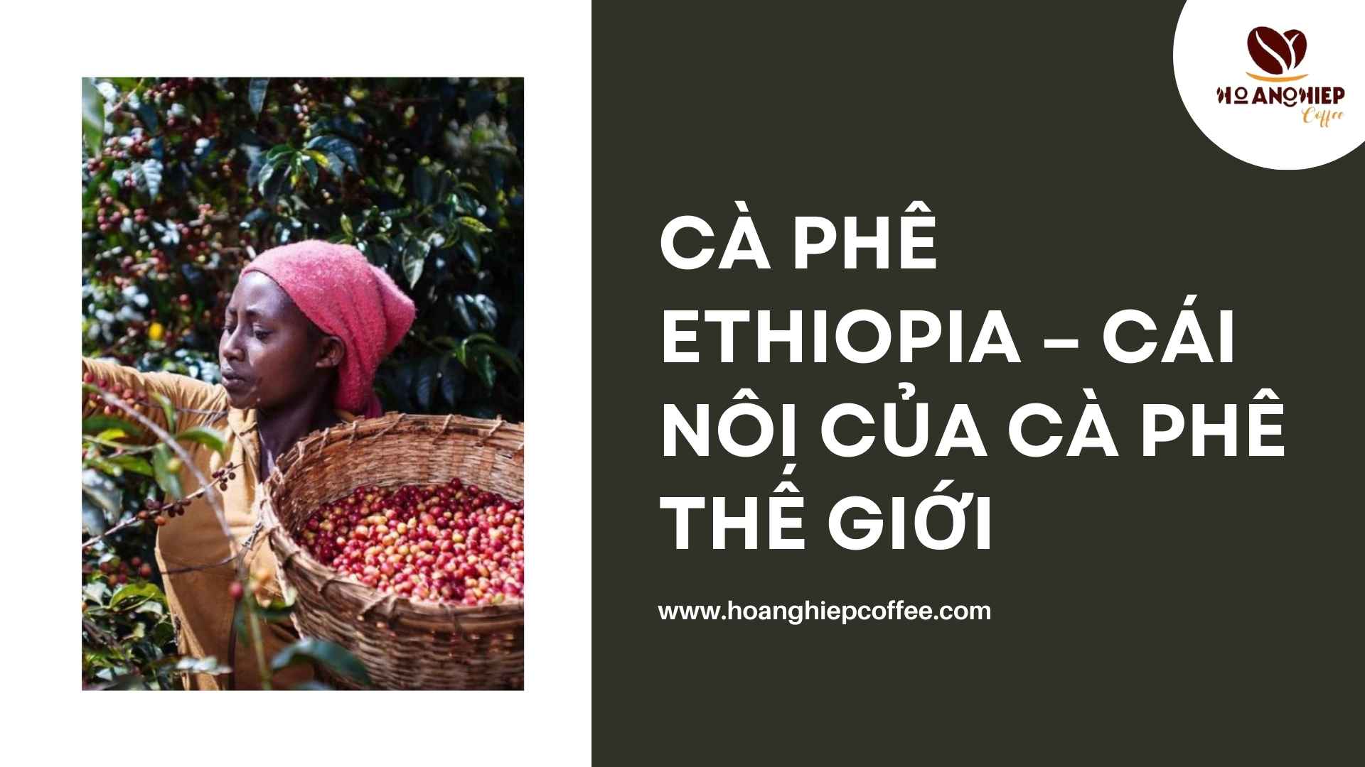 ca-phe-ethiopia-cai-noi-cua-ca-phe-the-gioi