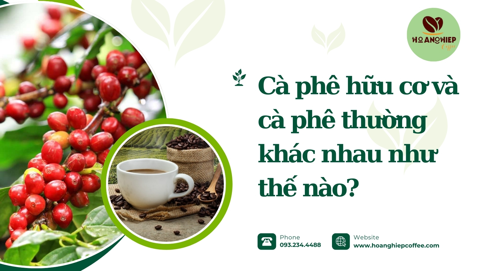 ca-phe-huu-co-va-ca-phe-thuong-khac-nhau-nhu-the-nao