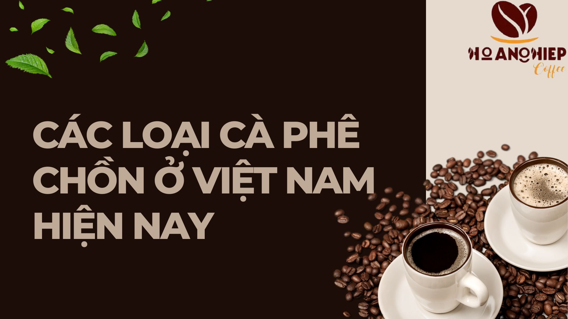 cac-loai-ca-phe-chon-o-viet-nam-hien-nay