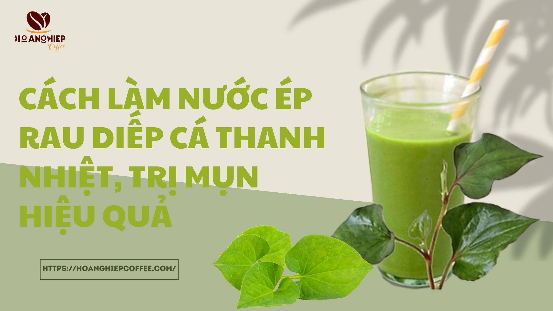 cach-lam-nuoc-ep-rau-diep-ca-thanh-nhiet-tri-mun-hieu-qua