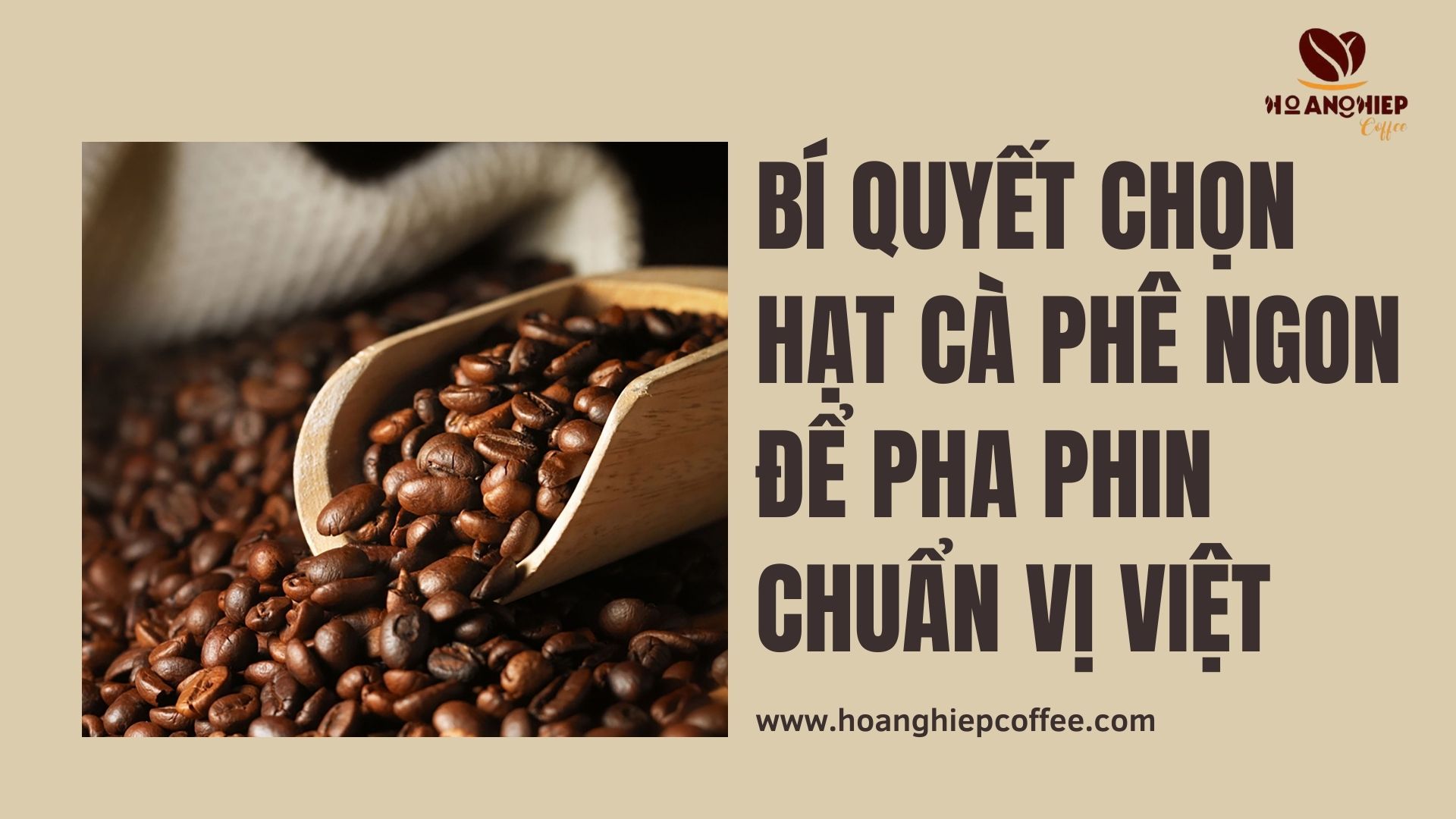 bi-quyet-chon-hat-ca-phe-ngon-de-pha-phin-chuan-vi-viet