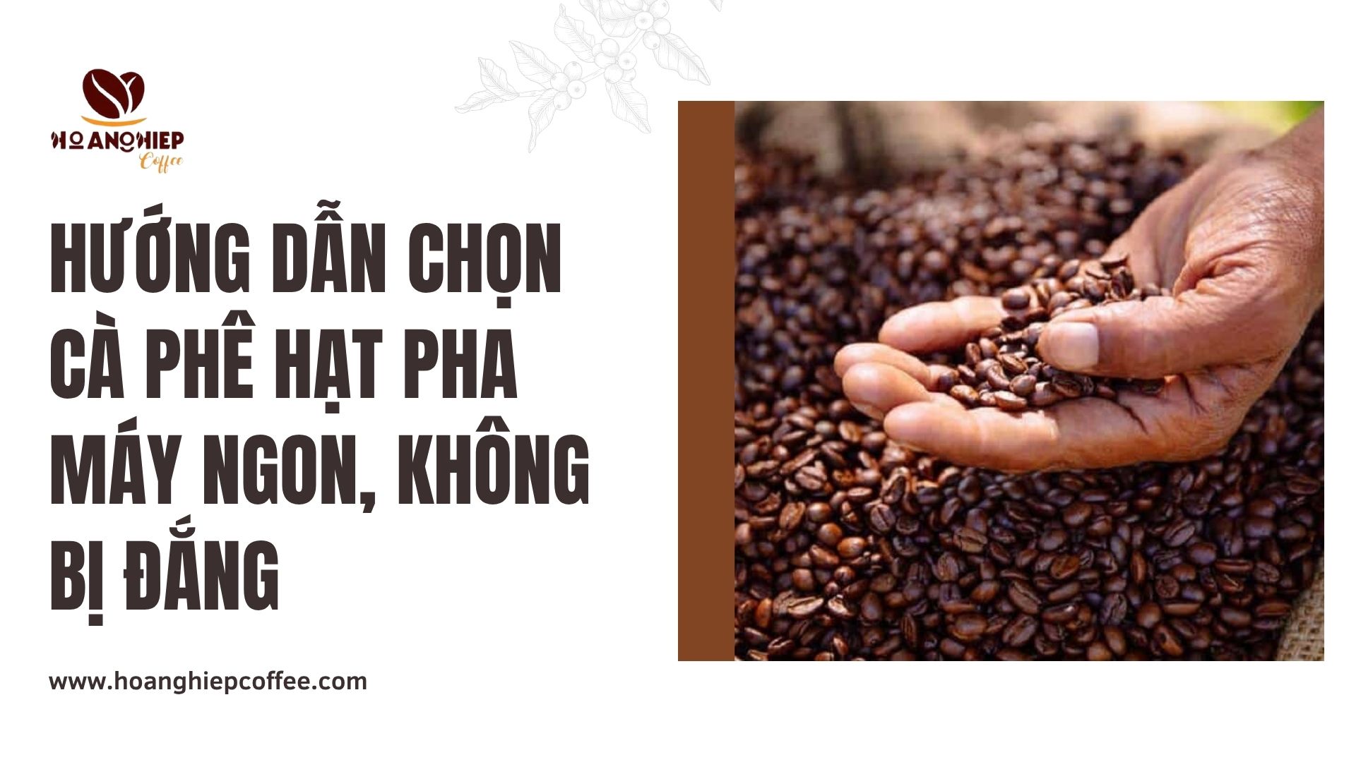 huong-dan-chon-ca-phe-hat-pha-may-ngon-khong-bi-dang