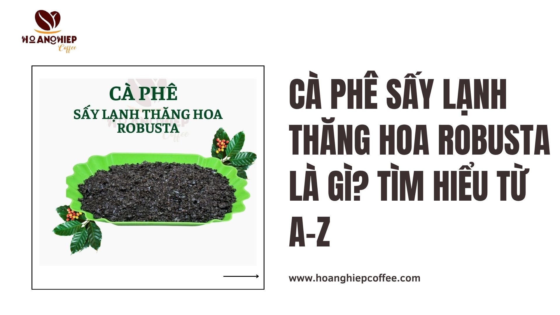 ca-phe-say-lanh-thang-hoa-robusta-la-gi-tim-hieu-tu-a-z